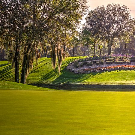 Innisbrook Resort Палм-Харбор Экстерьер фото