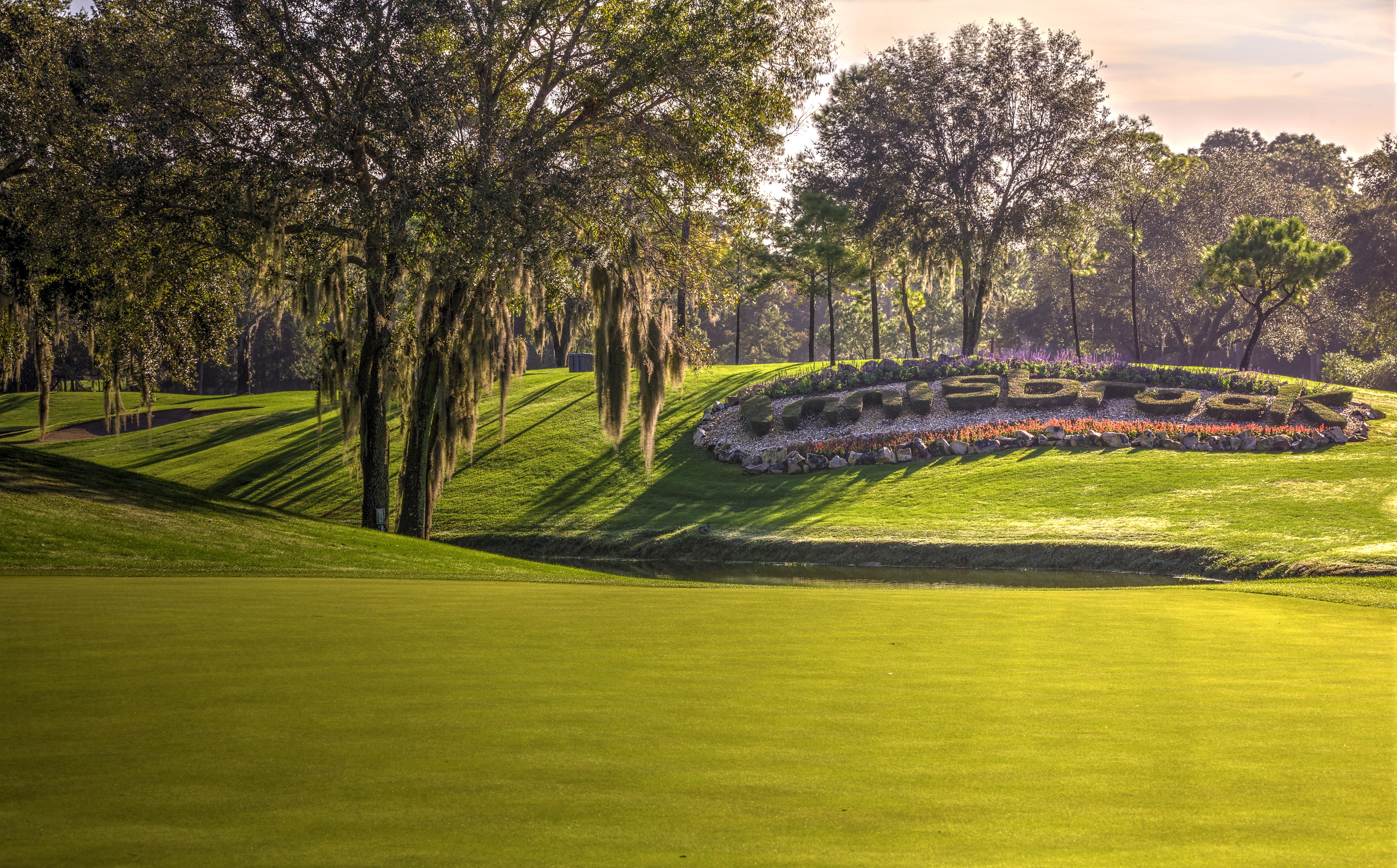 Innisbrook Resort Палм-Харбор Экстерьер фото